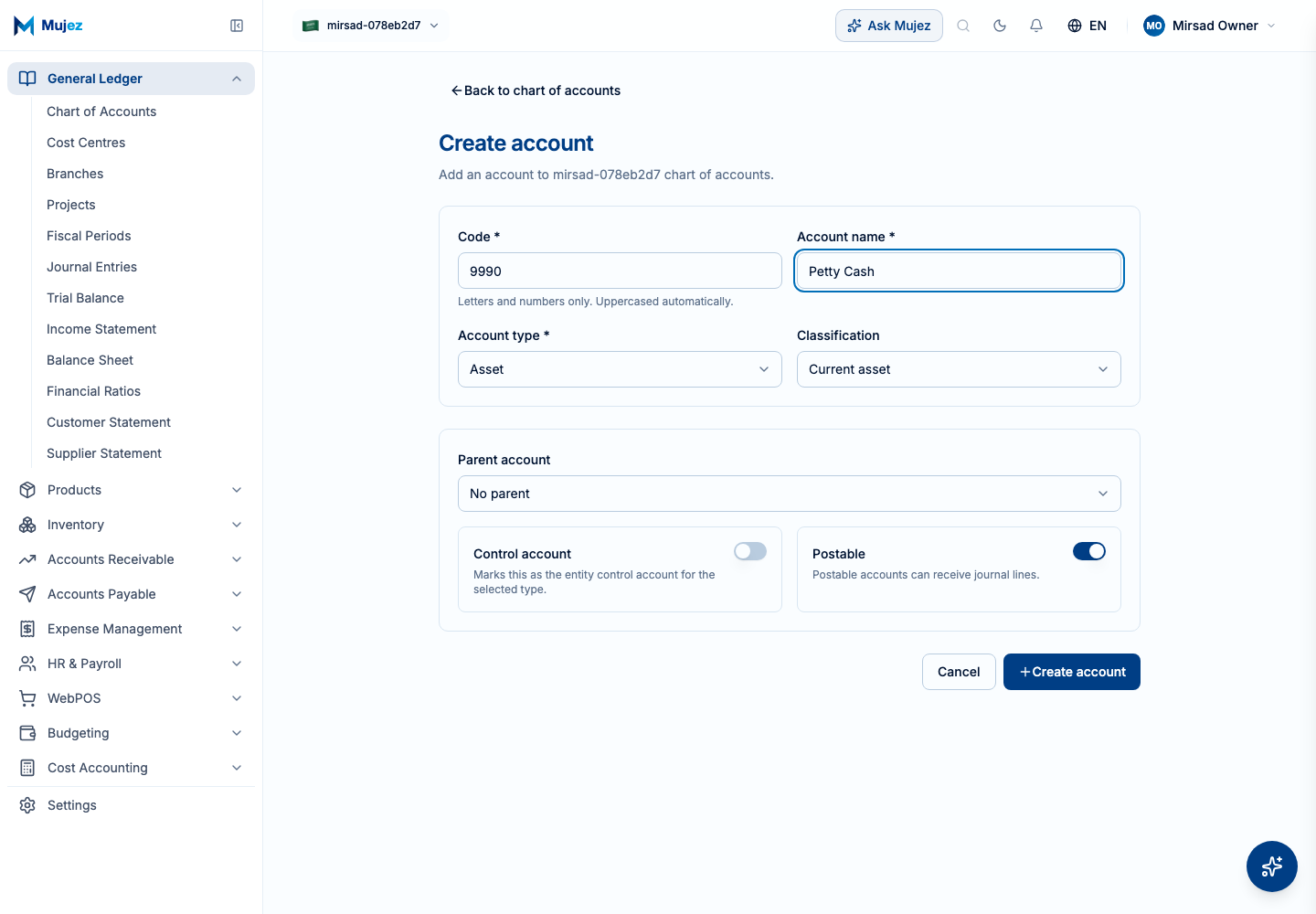 Enter the account code and name.