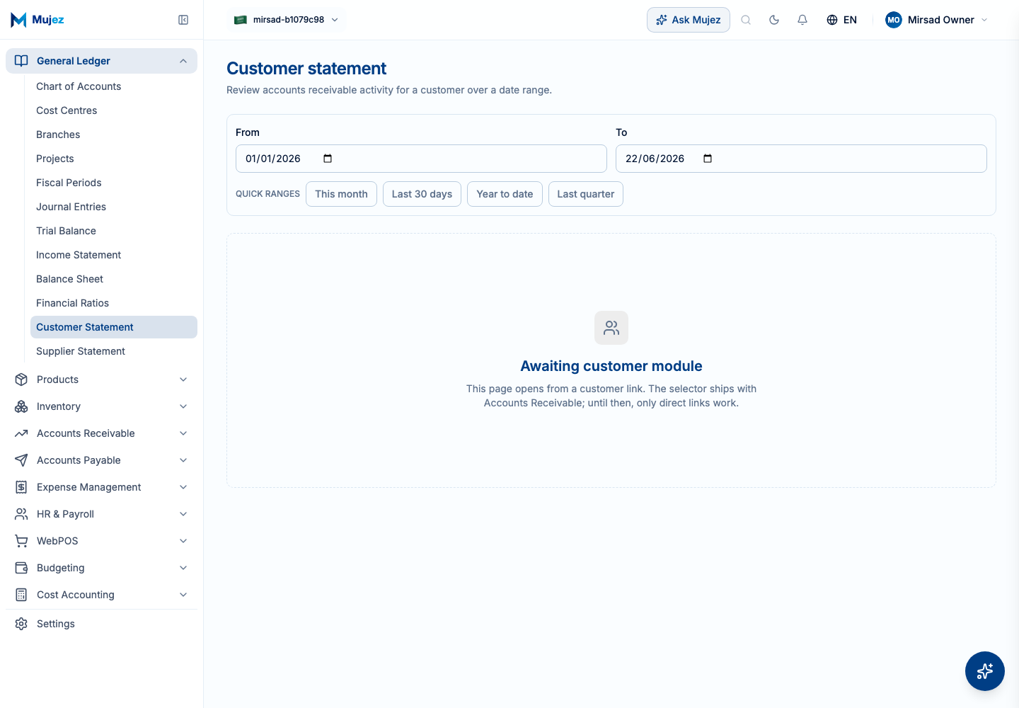 Open the Customer Statement report.