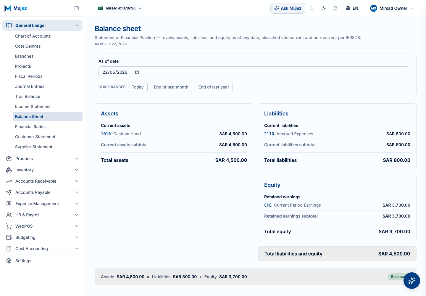 Open the Balance Sheet report.